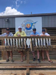 4 big fish caught while fishing in Corpus Christi