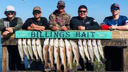 12 fishing in TX