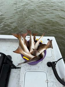 Two anglers enjoying a fishing trip in Corpus Christi