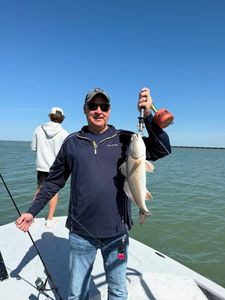 Redfish caught fishing in Corpus Christi TX