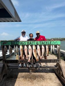 Display of redfish, speckled trout, and black drum catch from Corpus Christi TX fishing trip