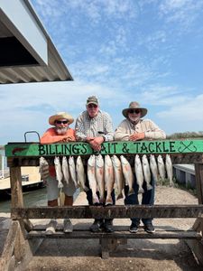 Successful fishing trip in Corpus Christi TX displaying caught speckled trout, redfish, and black drum hanging on cleaning station