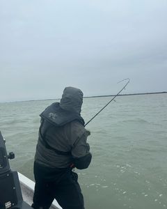 Fishing in TX