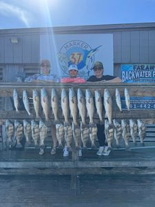 Redfish and Spotted Weakfish caught during fishing trip in Corpus Christi