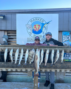 12 Spotted Weakfish, Redfish, and Sheepshead fish caught in Corpus Christi