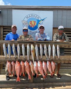 22 fish caught in TX, fishing