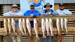 13 redfish caught in TX