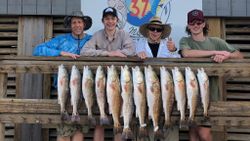 12 redfish caught on a fishing trip in TX