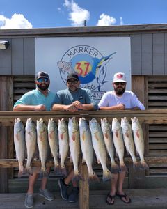 10 redfish caught in Corpus Christi