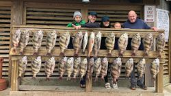 18 sheepshead and black drum fish caught in TX