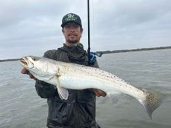Spotted weakfish catch, 37 inches, fishing in TX