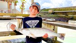 Spotted Weakfish caught by angler in Corpus Christi