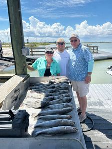 Three spotted weakfish caught in Corpus Christi during fishing trip
