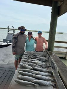 Two spotted weakfish caught while fishing in TX