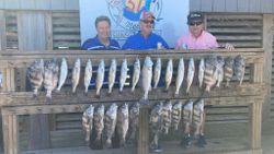 10 fishing in TX