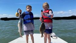 Two summer flounder caught in Corpus Christi, Texas