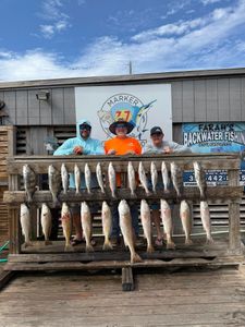 Redfish caught in TX