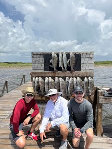 3 black drum fish caught while fishing in TX