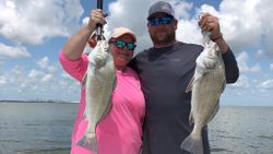 Two Black Drum fish caught in Corpus Christi