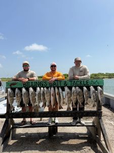 Two black drum fish caught while fishing in TX