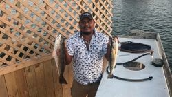 Two fish caught in TX