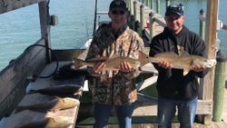 Two huge redfish caught in Corpus Christi