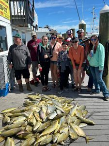Eleven people fishing at Marathon beach