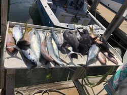 3 fishing in FL