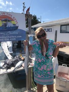 Three fishing catches in Marathon