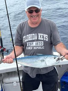 Little Tunny fish, 15 inches, caught while fishing in Marathon