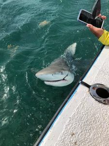 A stunning view of Marathon, Florida