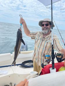 Cobia caught while fishing in NC