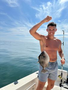 Grey triggerfish caught while fishing in NC