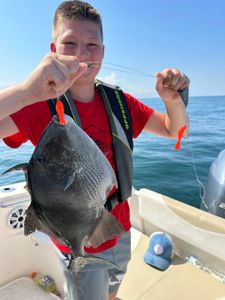 Catch of the day: a 15-inch grey triggerfish