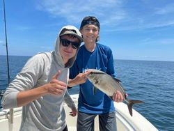 Longfin Yellowtail fish in Kitty Hawk
