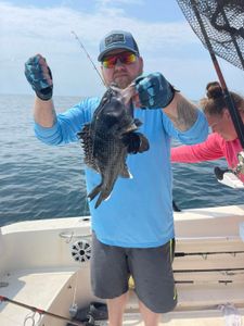 Successful fishing for a single sea bass in NC