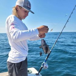 Photograph of a 7-inch sea bass caught while fishing in Kitty Hawk