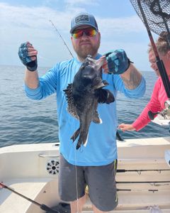 Photograph of a 18-inch sea bass caught while fishing in NC