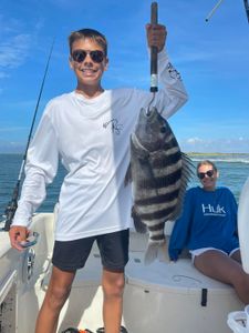 Sheepshead caught while fishing in Kitty Hawk