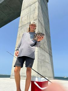 Sheepshead fish caught fishing in NC