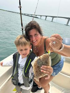 Southern Flounder caught fishing in Kitty Hawk