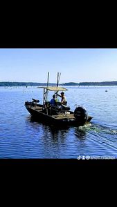 Angler fishing in Donalsonville
