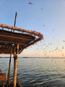 Picturesque fishing tour in GA