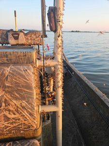 Fishing tours and water sports in GA