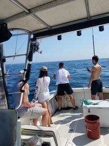 Cape Cod deep sea fishing charters	