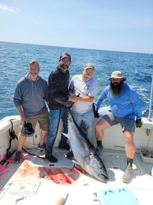 Photograph of a 34-inch Atlantic Bonito caught while fishing in Fairhaven