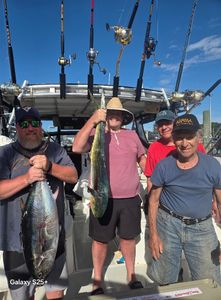 Two blackfin tuna, 17 inches long, caught by four people fishing in Fairhaven