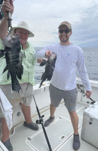 Two sea bass being caught by two people in Fairhaven