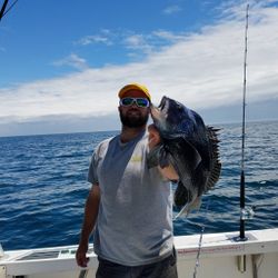 Angler catches 1 fish in Fairhaven