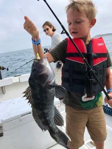 Fishing for a massive sea bass in MA